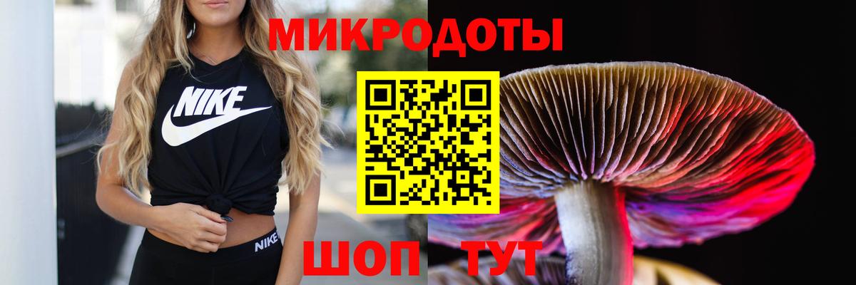 Галлюциногенные грибы Magic Shrooms  Галлюциногенные грибы Magic Shrooms  Петрозаводск  Вход с VPN 